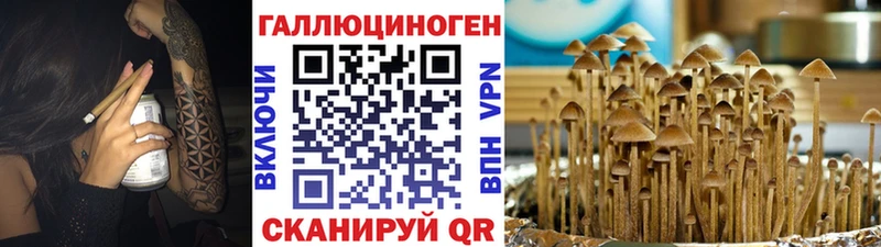 Галлюциногенные грибы ЛСД Наволоки